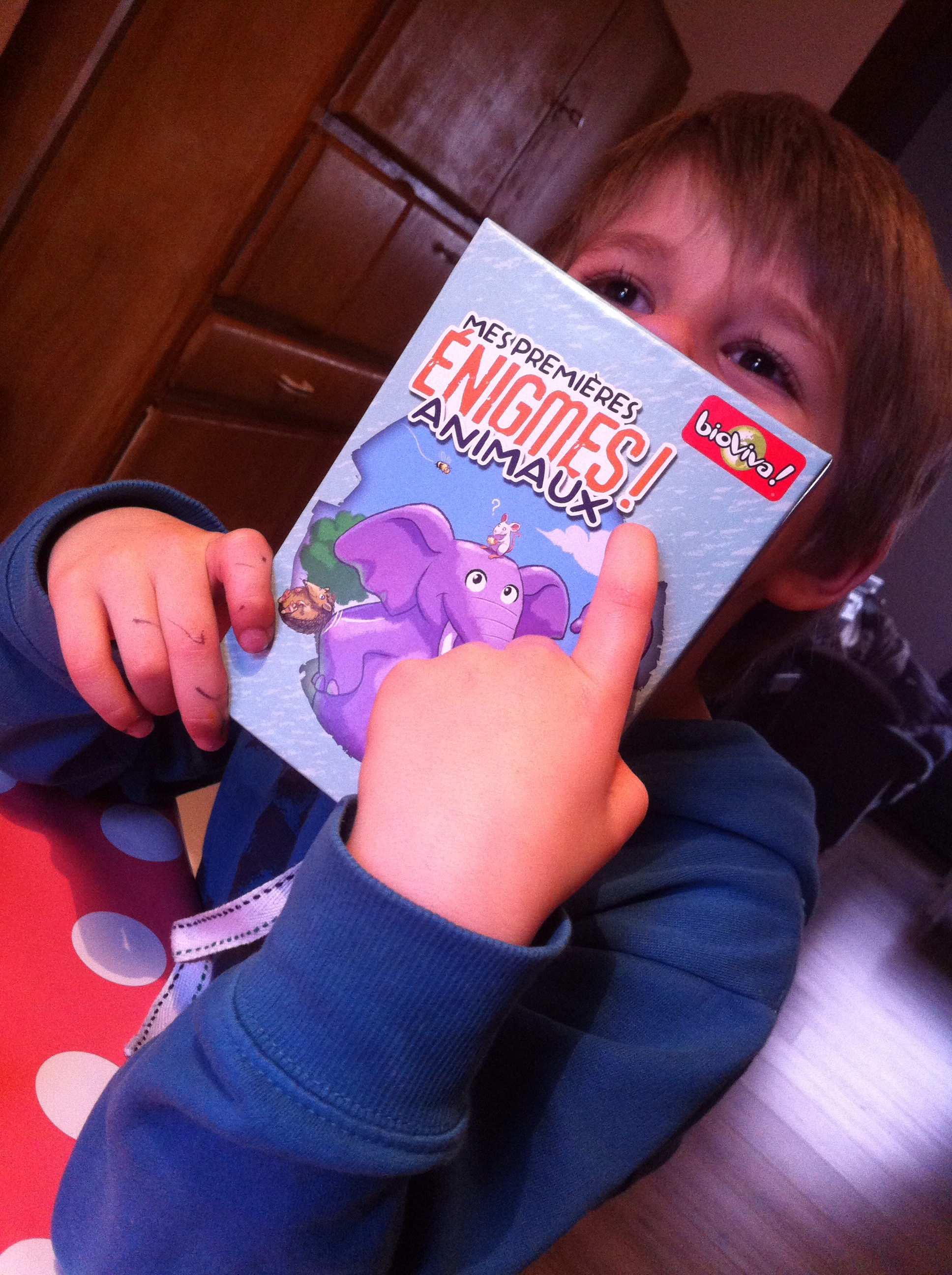 Acheter Mes Premières Enigmes - Animaux - Jeux de société Enfants - Bioviva Editions